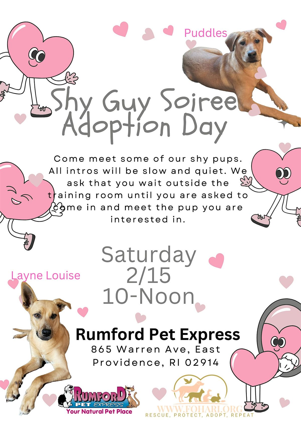 Shy Dog Adoption Event