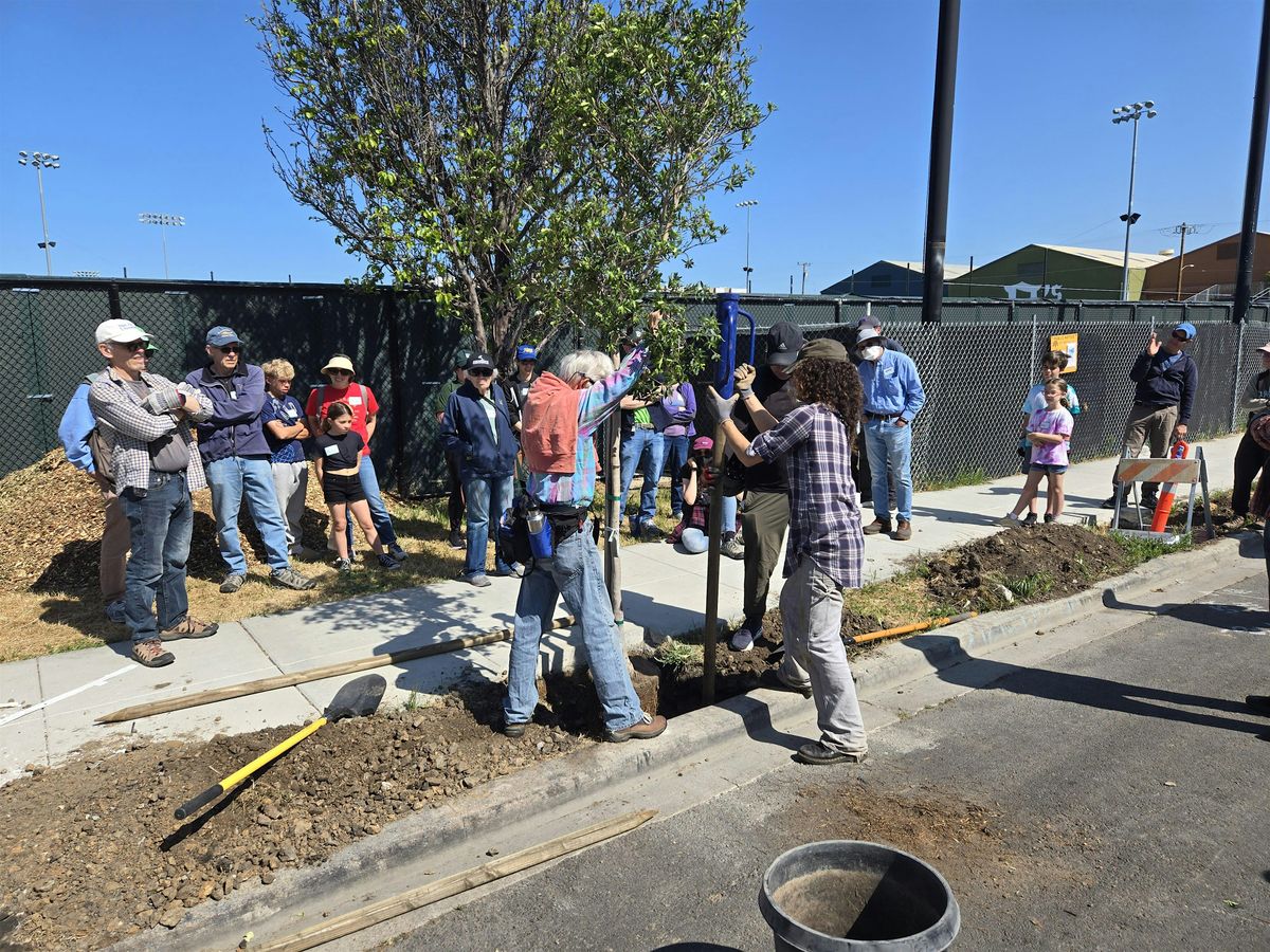 West Oakland  Tree Planting Season - Kickoff