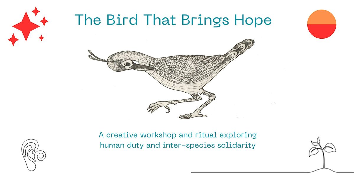 The Bird That Brings Hope Workshop