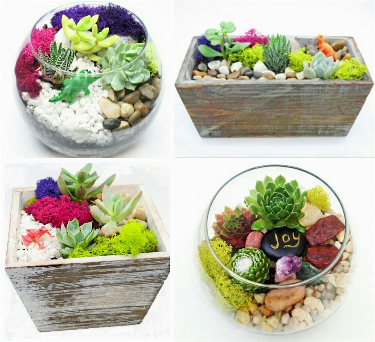 Family Plant Party: Make a Succulent Terrarium