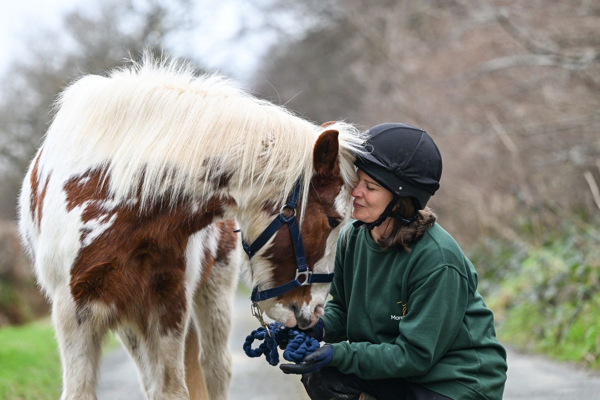  Rehoming event and Pre-loved Tack Sale 