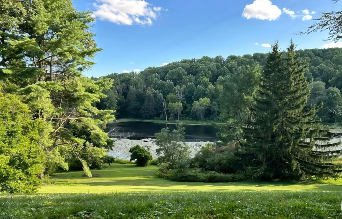 Forest Bathing in Bloom:  A Mindful Walk at Welkinweir