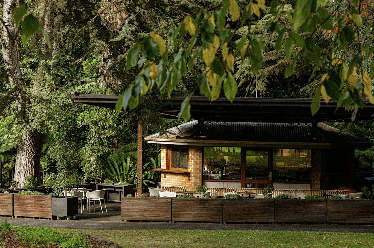 Cycle Syncing & Journaling: A Practical Workshop