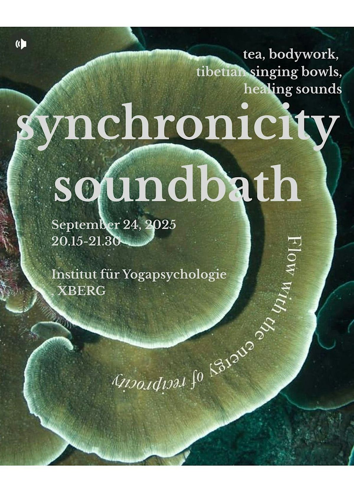 synchronicity soundbath & cacao