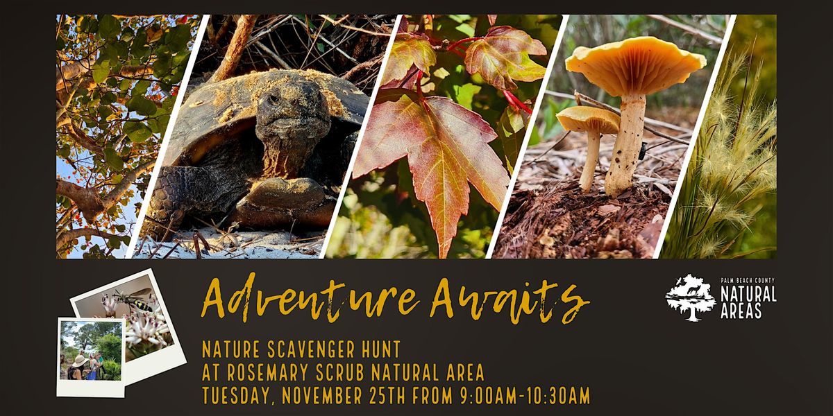 Adventure Awaits - Nature Scavenger Hunt @ Rosemary Scrub Natural Area