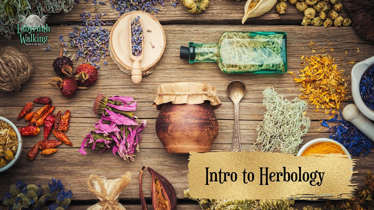 Intro to Herbology | Education Event at Labyrinth Walking