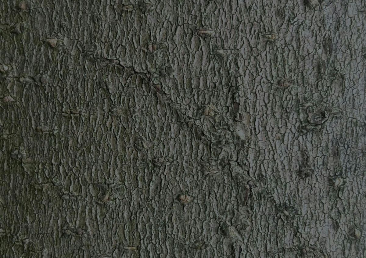 Music We'd Like to Hear in November - Maya Bennardo & Jessie Marino