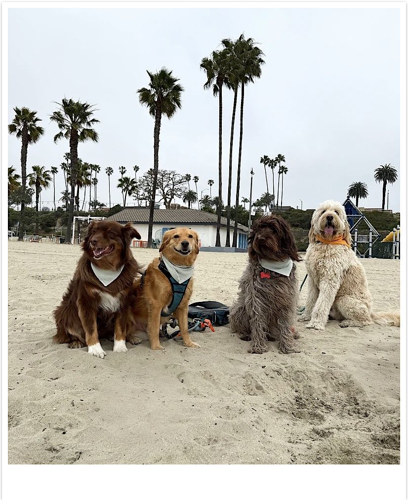 The Pack Way LA Community Group Dog Walk in Balboa Park