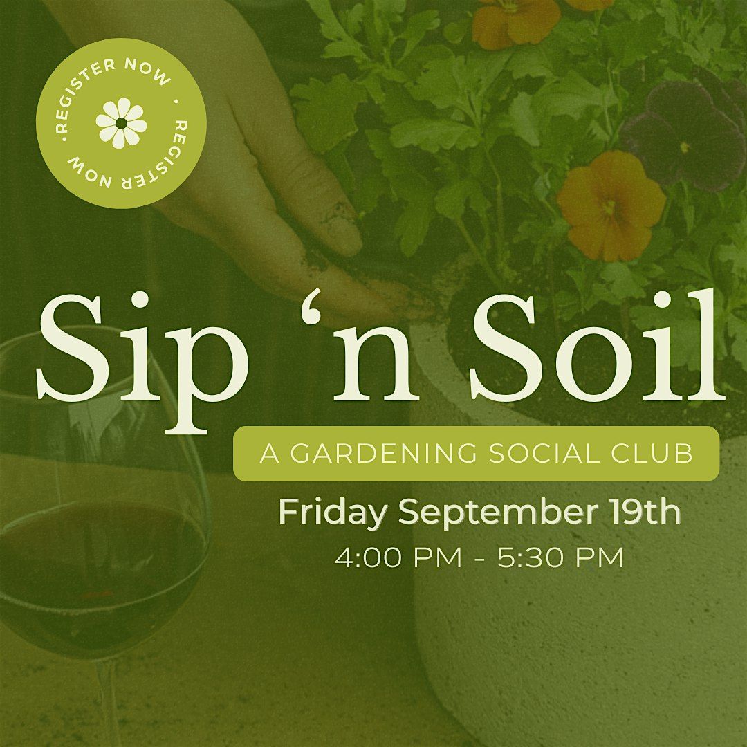 Sip 'N Soil: Houseplant Centerpiece