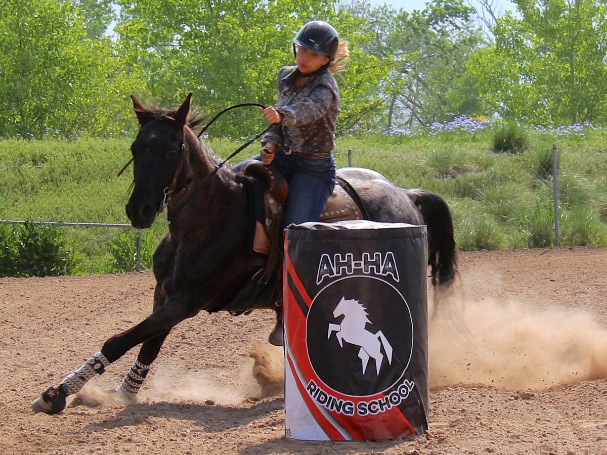 Ranch Riding & Birangle