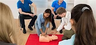 Red Cross Adult & Pediatric CPR\/AED\/First Aid Instructor Certification