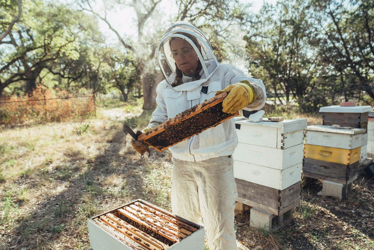 Save on Your Property Taxes with Beekeeping