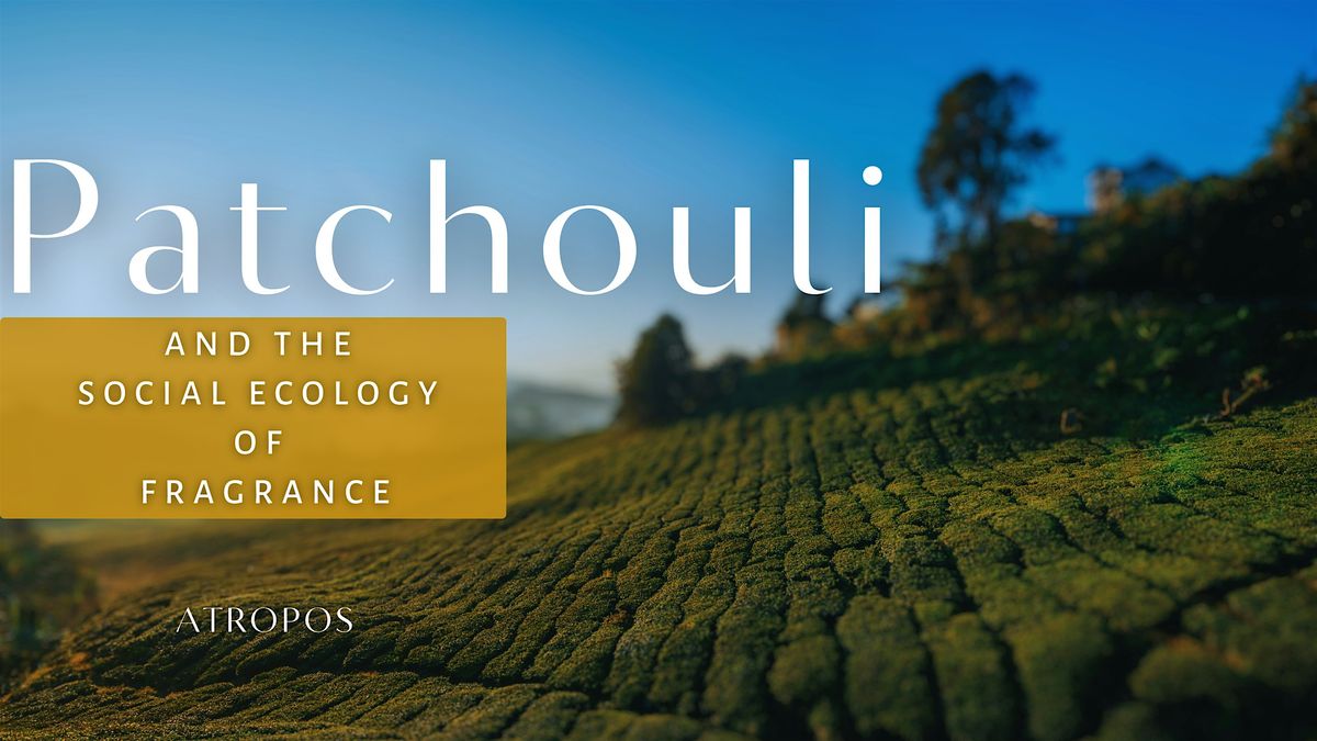 Patchouli & The Social Ecology of Fragrance