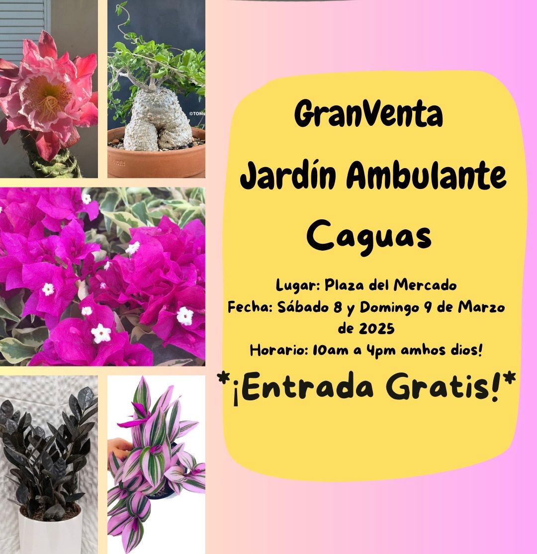 CAGUAS Vuelve el Jard\u00edn Ambulante! Cactus, Suculentas,Carn\u00edvoras, Orqu\u00eddeas,Rosas del Desierto y m\u00e1s