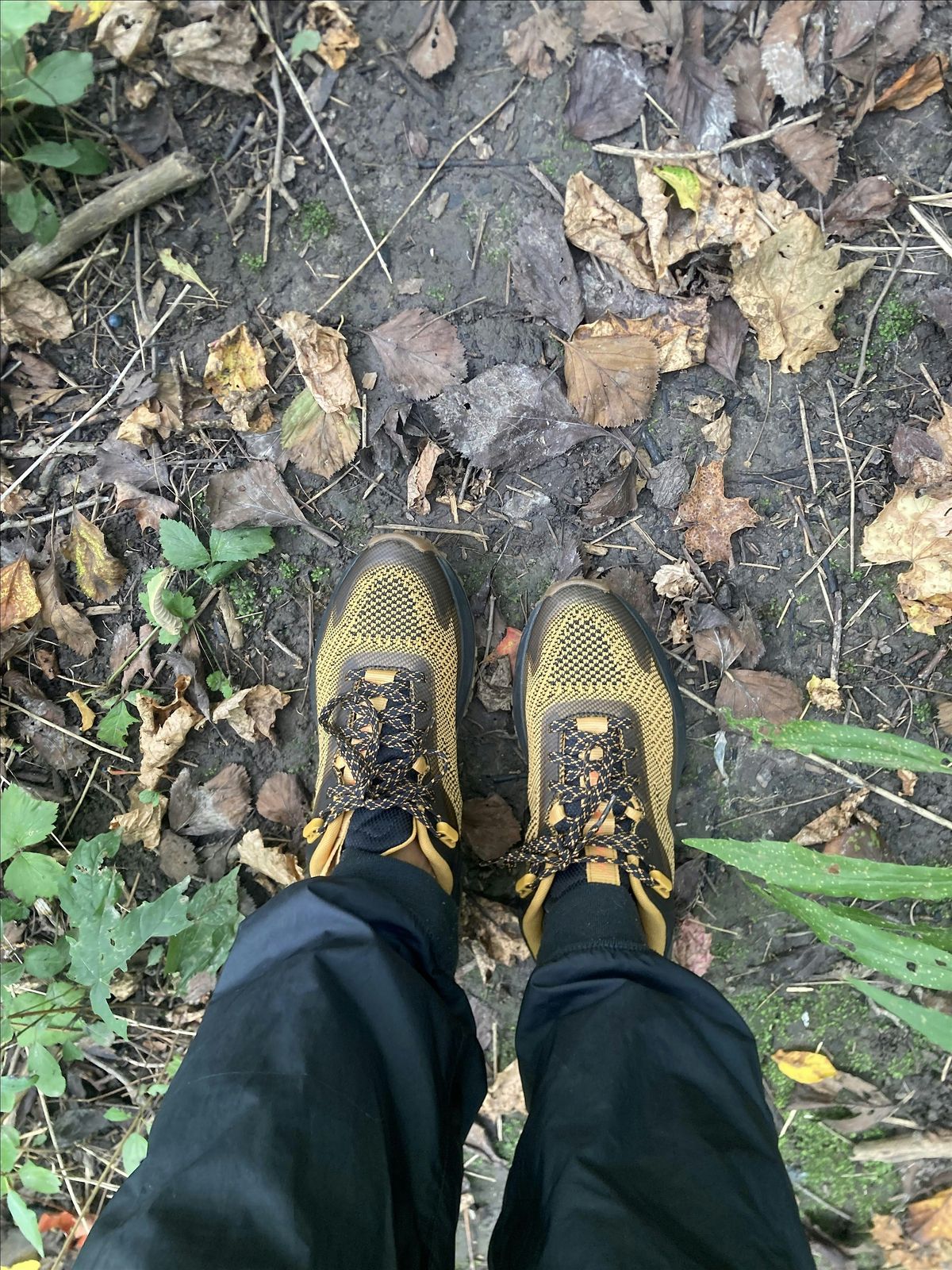 Black Canadian Hikers: Rattlesnake Point Hike (#4)