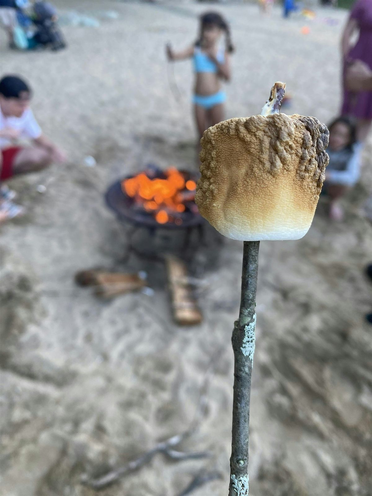 Summer Solstice Swim & S'mores