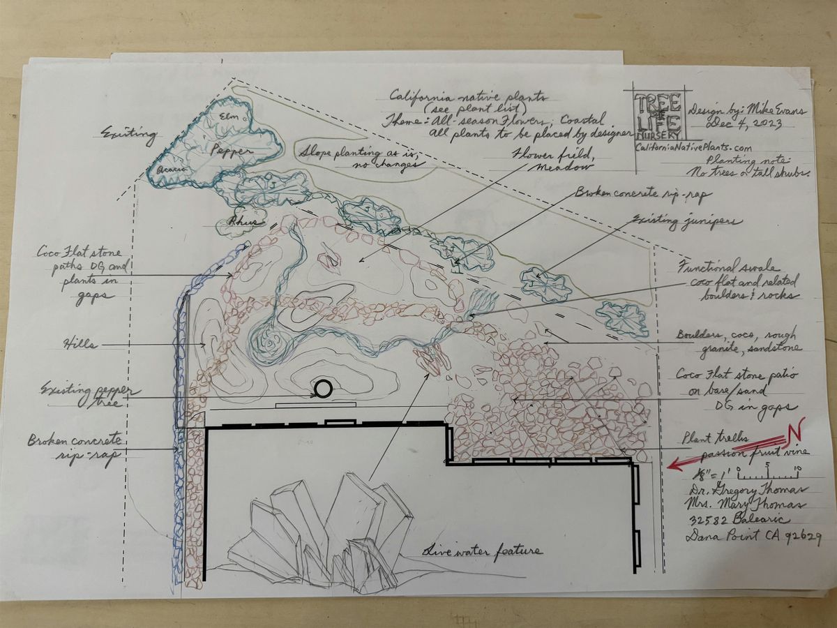 Re-wild: Site Design and Establishing New Plants
