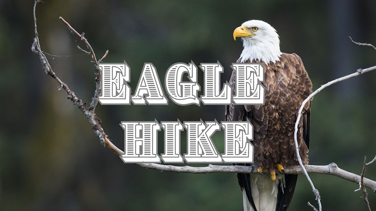 Eagle Hike