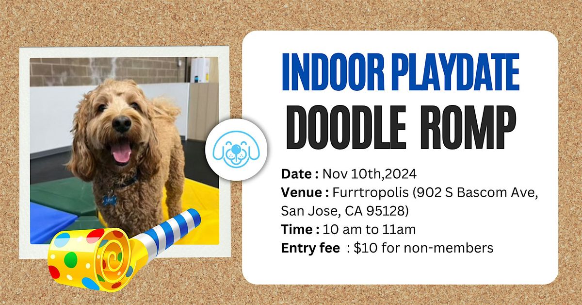 DogHood Indoor Playdate Doodle Romp