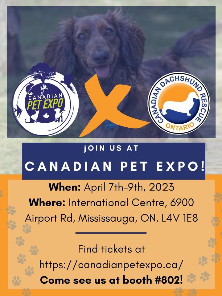 Canadian Pet Expo 2023! , 6900 Airport Rd, Mississauga, ON L4V 1E8