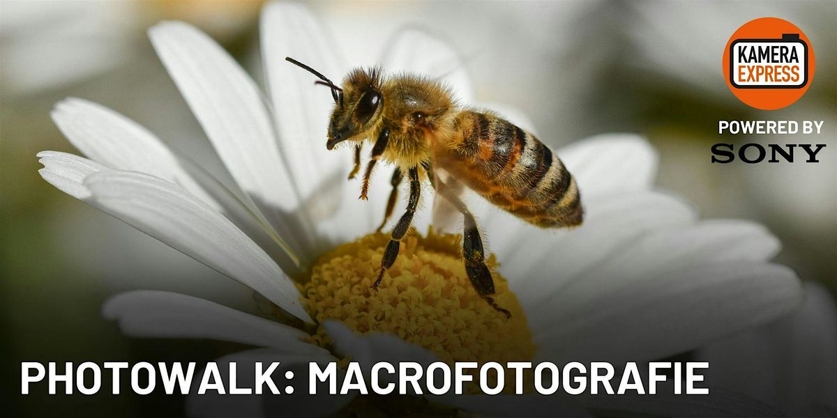 Photowalk: Macrofotografie met Kyle van Bavel