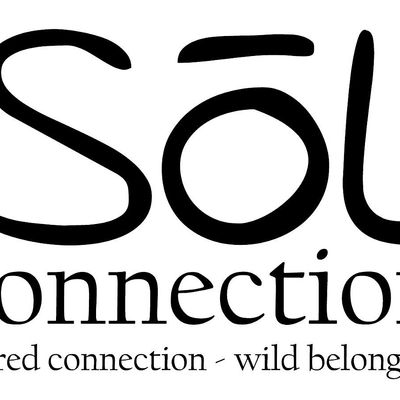 S\u014dl Connection