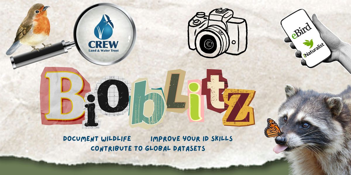 September Bioblitz