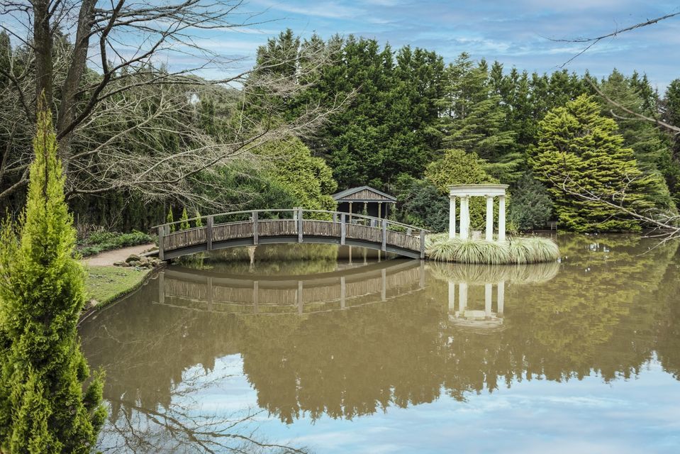 Open Garden at Thenford Lodge