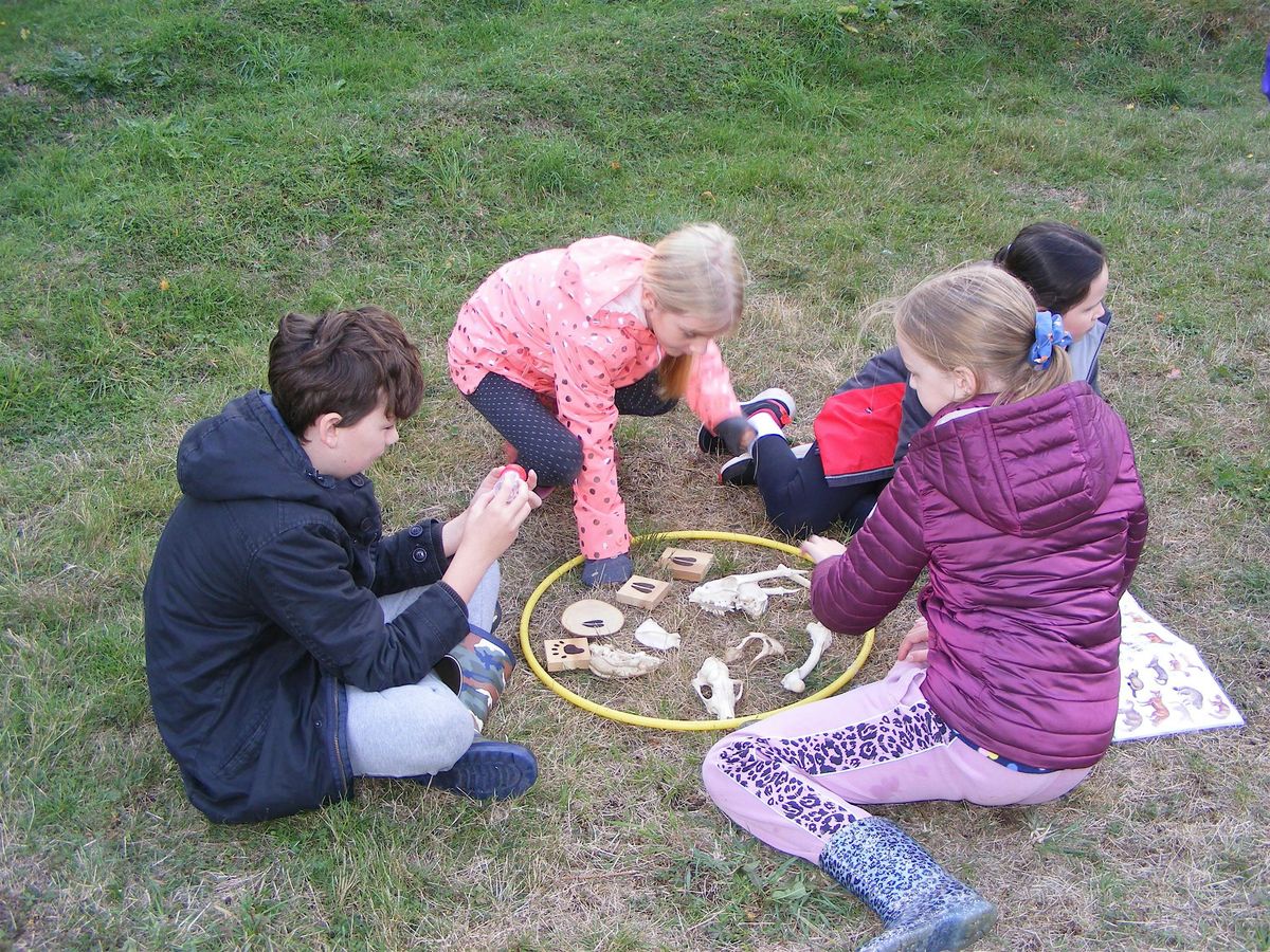 Home Educators' Day: Marvellous Mammals - Sutton Courtenay, Tuesday 18 November