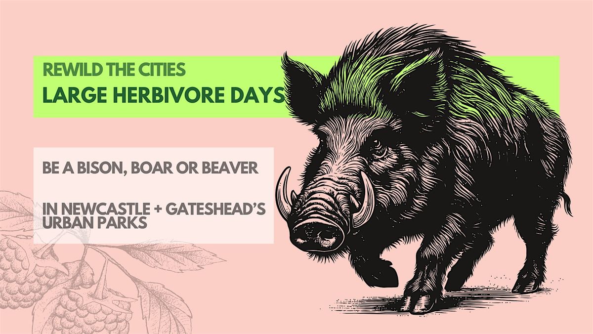 REWILD THE CITIES | Large Herbivore Day at City Stadium