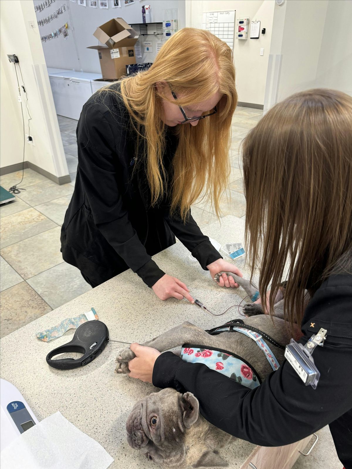 Wound Care