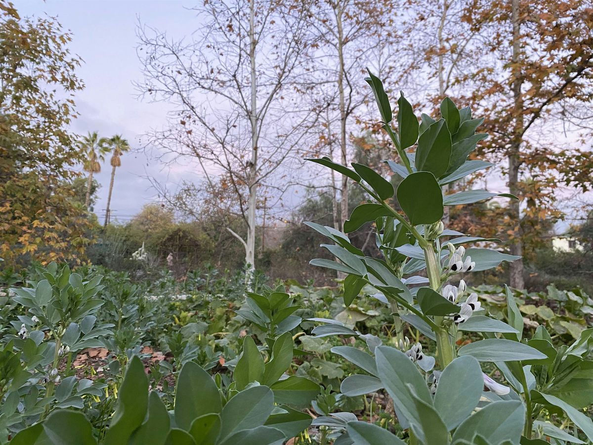 Wildlife Observation & Nature Journaling at Arlington Garden