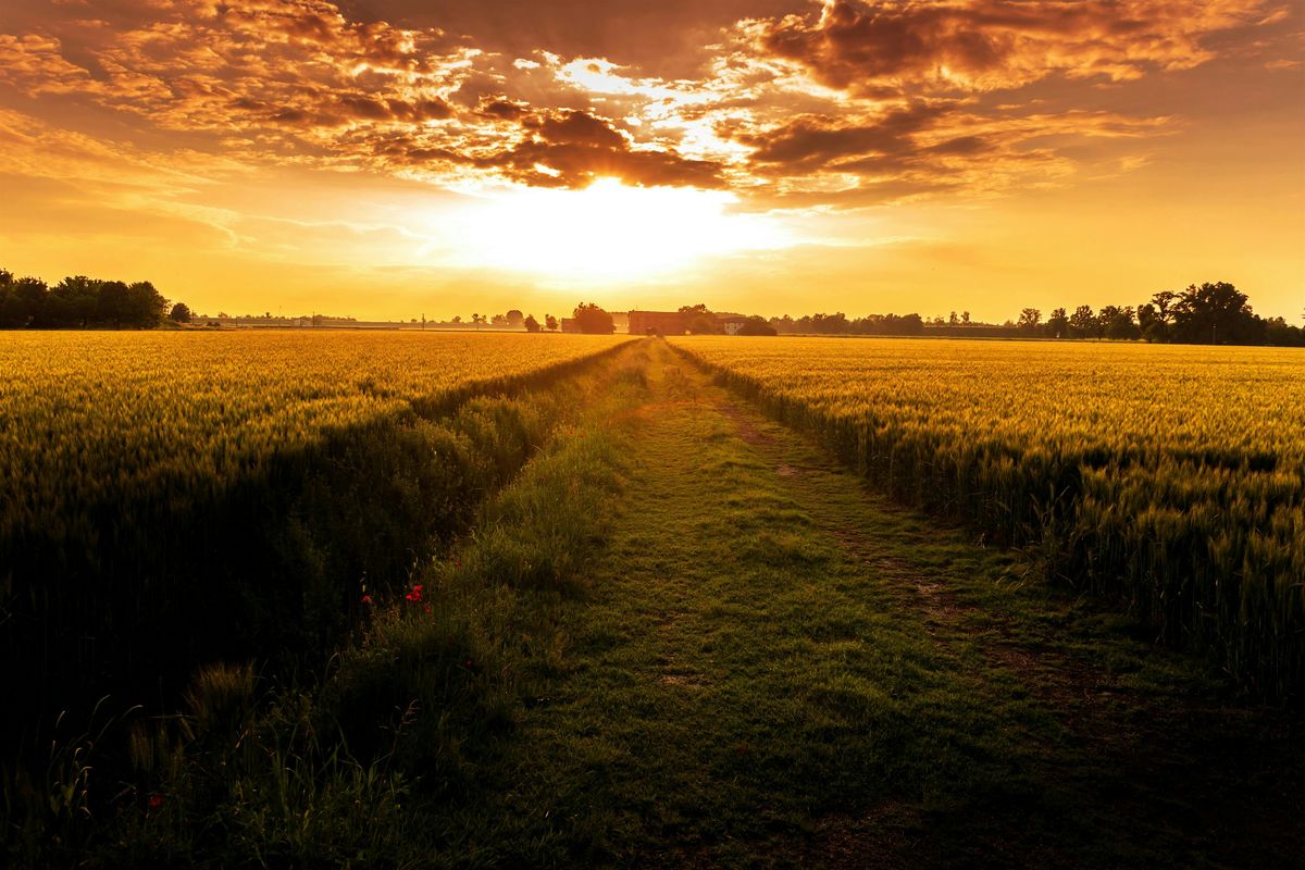 From Soil to Market: A Regenerative Organic Networking Event