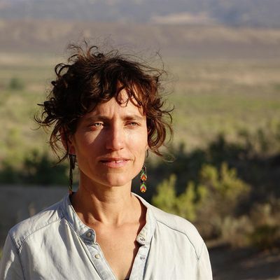 Lisa Gibson