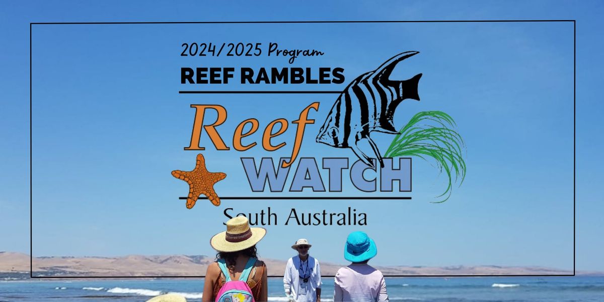 Reef Rambles at Marino Rocks - Jan 15