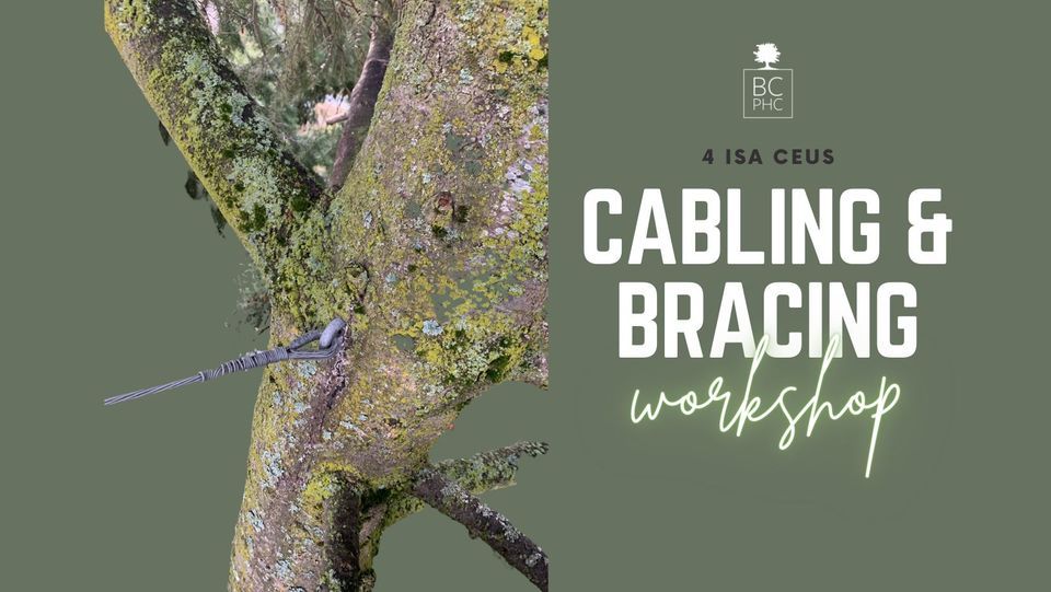 Cabling and Bracing Workshop