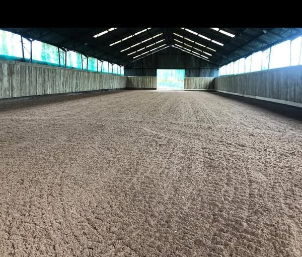 Flatwork\/Polework Clinic - Beacon View Equestrian