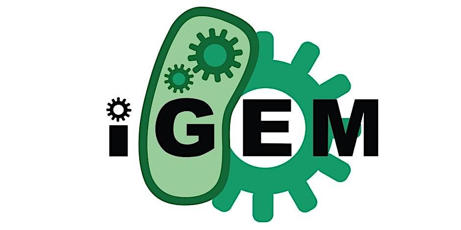 iGEM Information Session- in person or virtual session