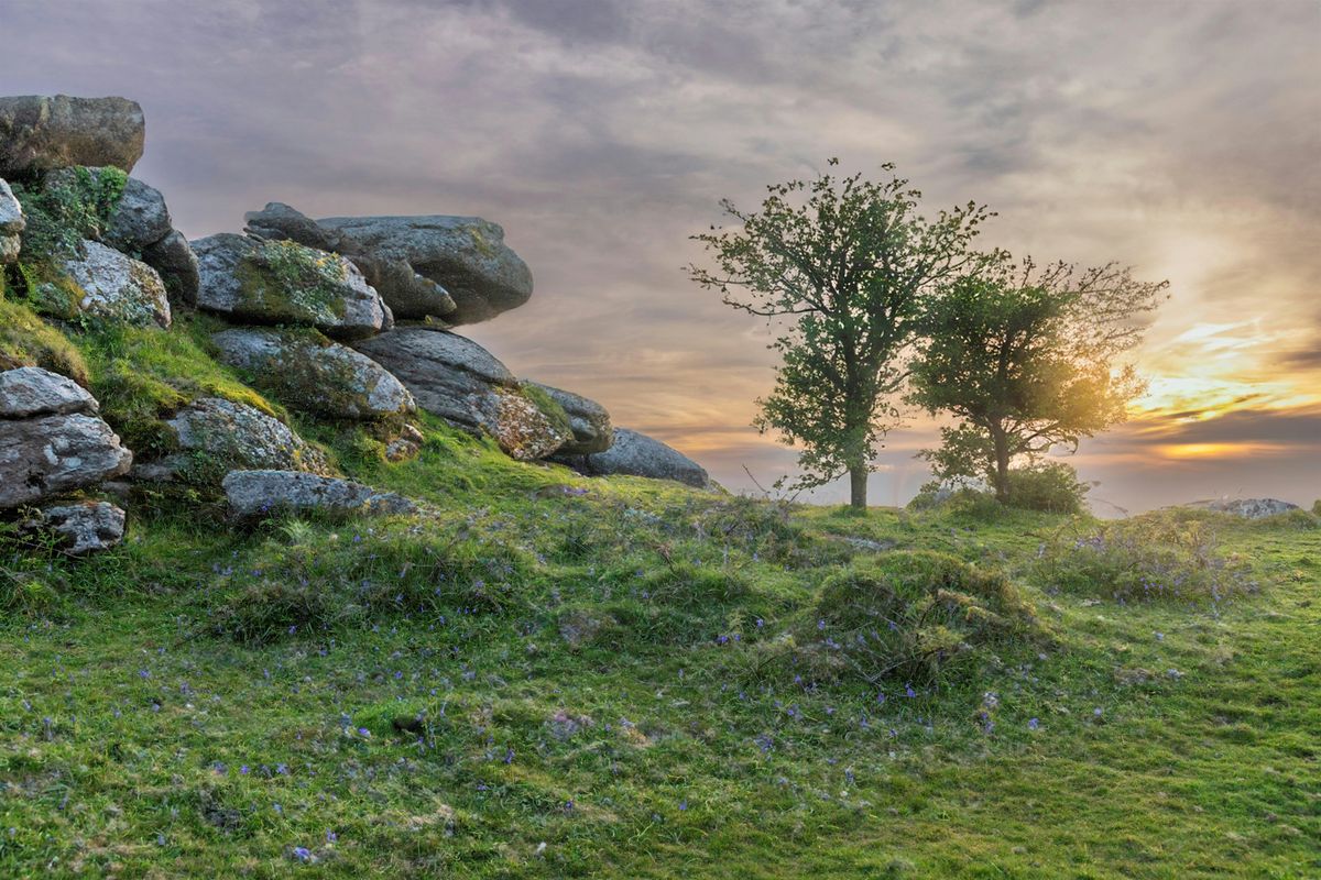 Helman Tor Reserve Guided Walks