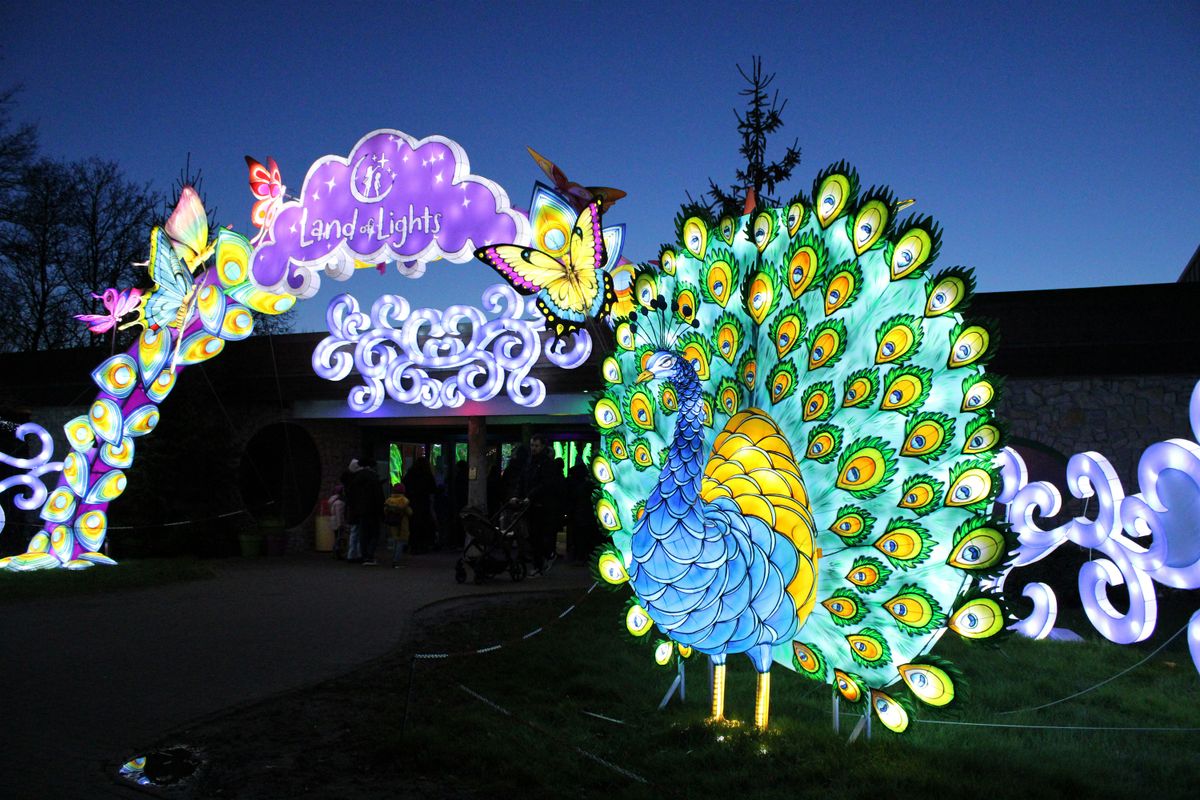 DIWALI LAND OF LIGHTS (Milton Keynes)