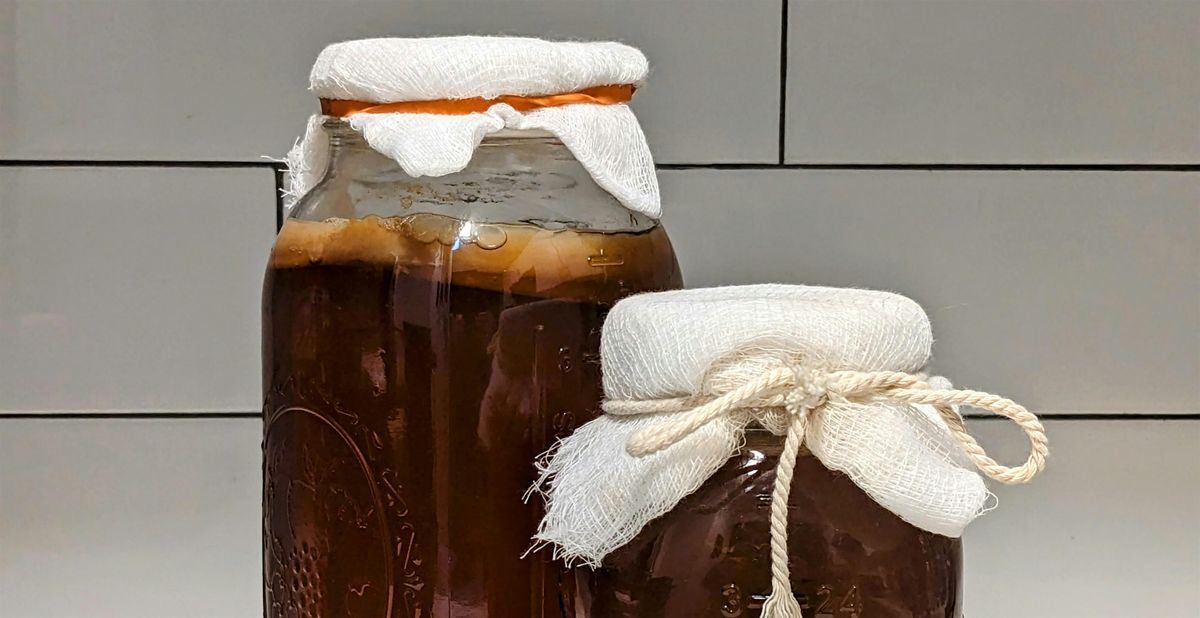 Intro to Kombucha Brewing
