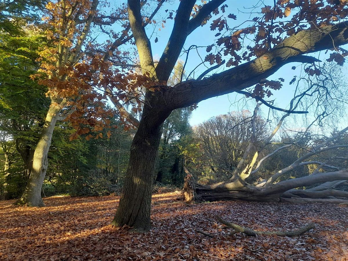 Autumn Spirituality Micro Retreat