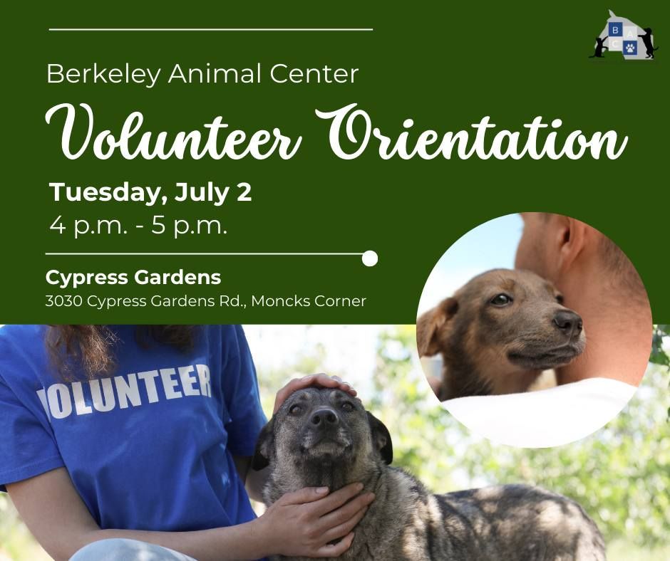 Berkeley Animal Center Volunteer Orientation 