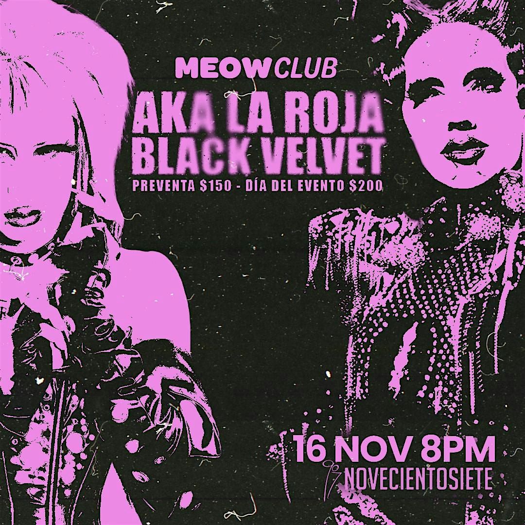 Meow Club: Noche de Coronas