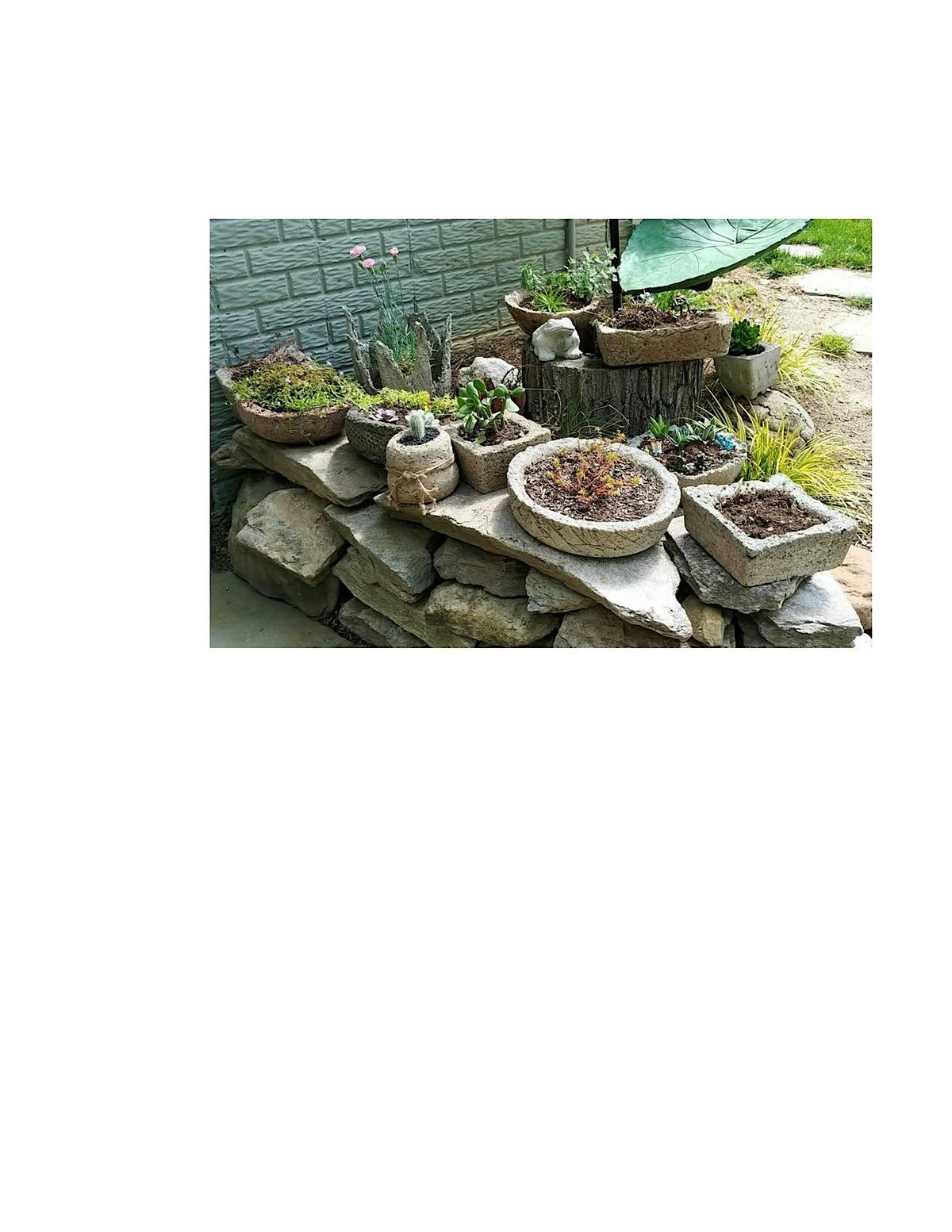 Frederick County Master Gardeners: Make a Hypertufa Bowl