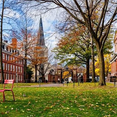 Harvard Climate Alumni London