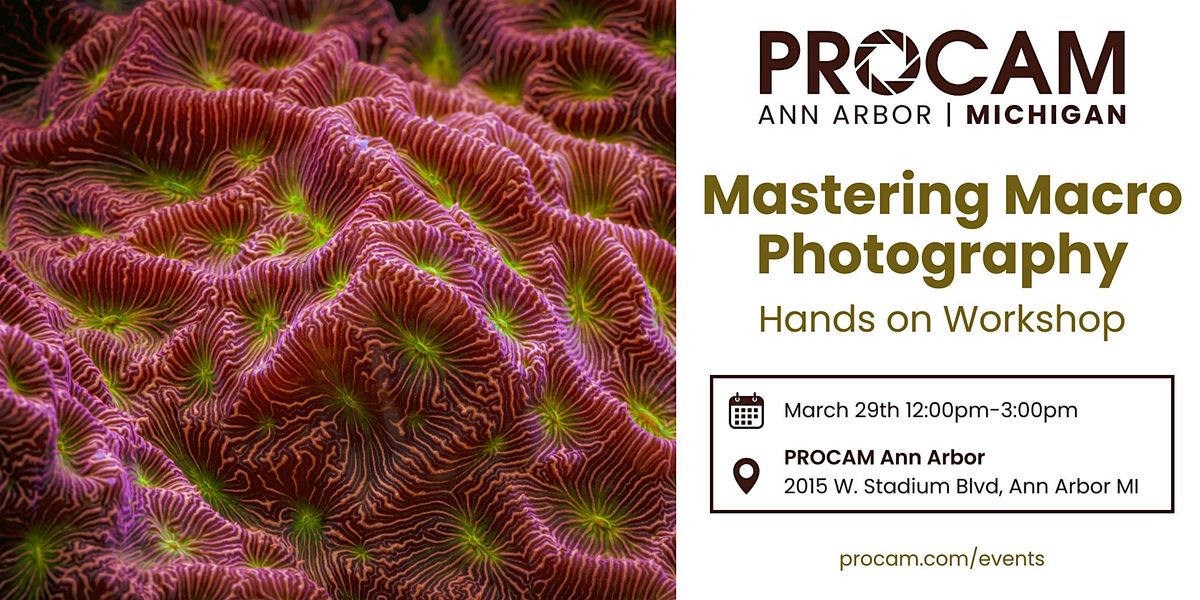 Mastering Macro Photography - PROCAM Ann Arbor