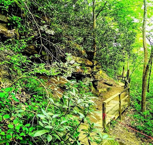 Botanical Walk at Boone's Cave