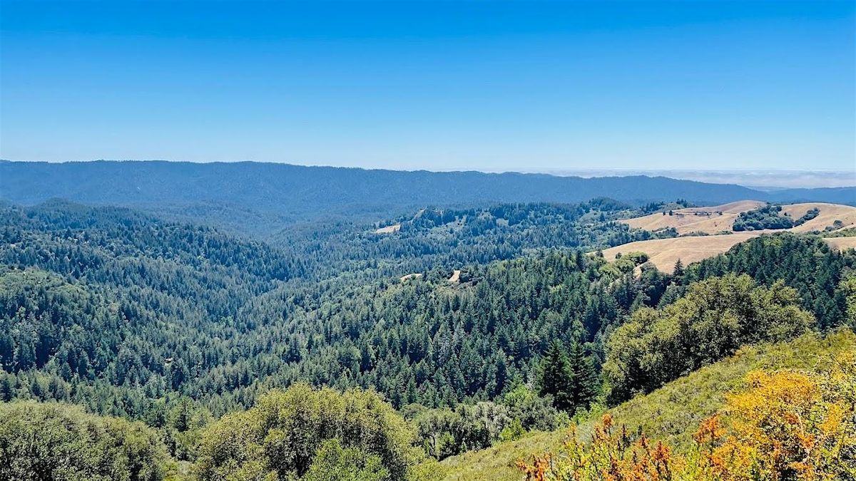 Morning Hike from Skyline Ridge to Russian Ridge