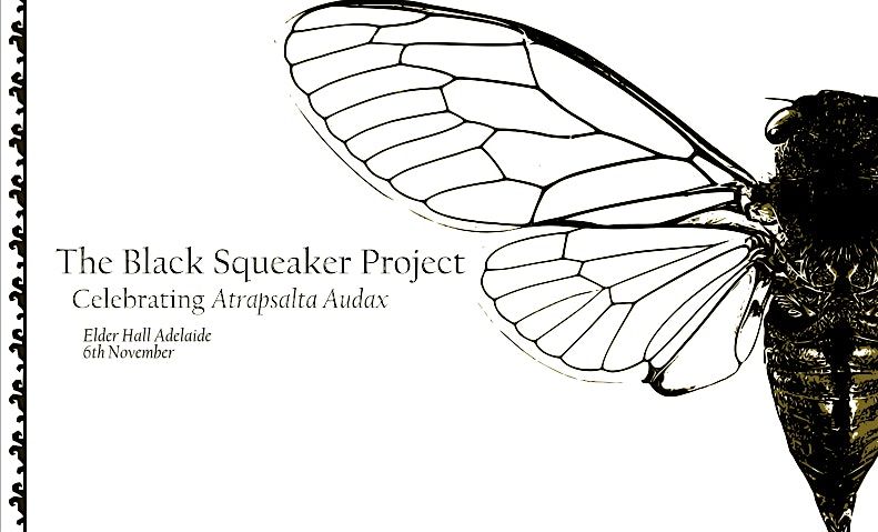 The Black Squeaker Project